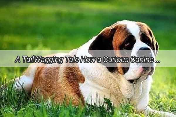 A TailWagging Tale How a Curious Canine Chose Me as His LoyaltyDriven Master